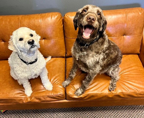 Sailor and Davy Jones image office